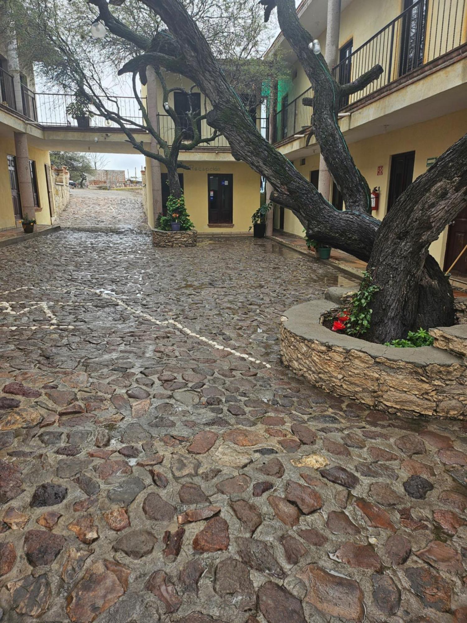 Hotel Villa Aurora Bernal Zewnętrze zdjęcie
