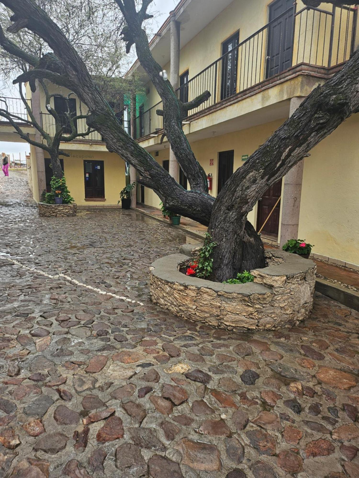 Hotel Villa Aurora Bernal Zewnętrze zdjęcie